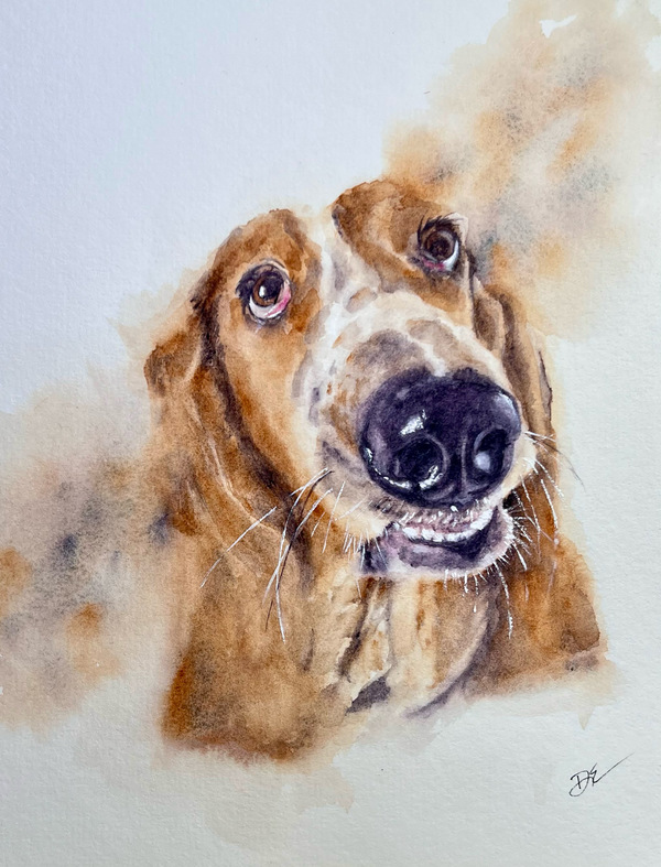 746e3720 4244 4078 9f8a 4b6e5c8d7873