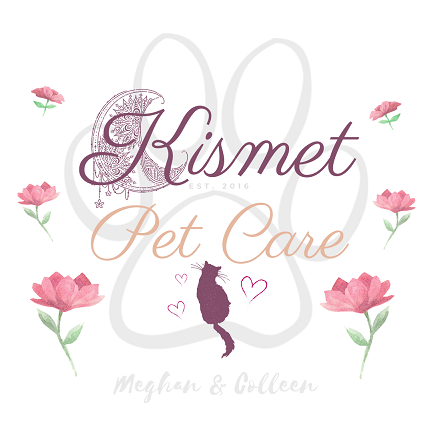 Kismet Pet Sitting Services and Pet Care - Milford, MA