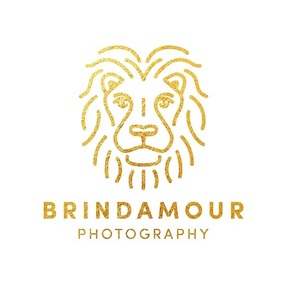 Brindamour Photography LLC - Pet Photographer - Brooklyn, NY