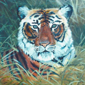 Sirius Studio - Rogers Texas Pet Portrait Artist - Rogers, TX