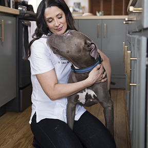 Canine Nutrition Consultation for Chronic Health Conditions - Phoenixville, PA