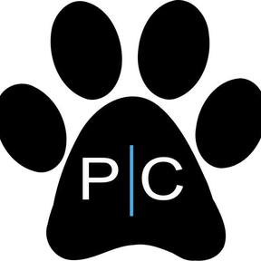 Professional Dog Walking and Sitting Services - Carmel, IN