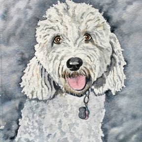 Artistic Designs By Laurie - Pet Portraits - Nationwide