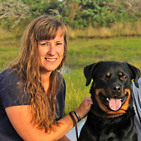 Woofs of Wisdom Certified Private Dog Trainer  - Skippack, PA