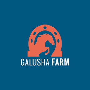 Galusha Farm, LLC - Horse Boarding - Warrenville, IL