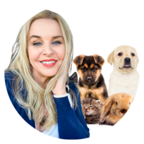 Happy Tails on Trails | Dog Boarding - San Jose, CA