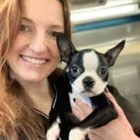 Supporting Pets and Guiding Owners - Holistic Pet Care  - Sound Beach, NY