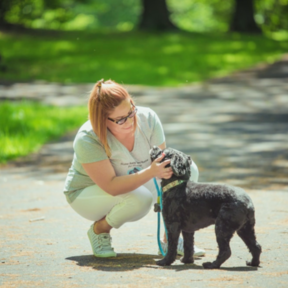 Home Away From Home Pet Services - Pet Sitting and Boarding - Belleville, NJ