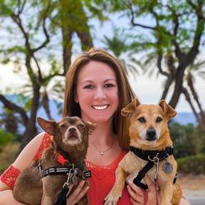 A Bark Away From Home - Private Dog Training Service - Yucca Valley, CA