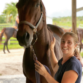 Mel’s Equestrian Services LLC - Horse Massage - Vero Beach, FL