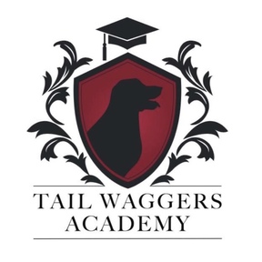 Tail Waggers Academy - Private Dog Training Services - Newtown, PA