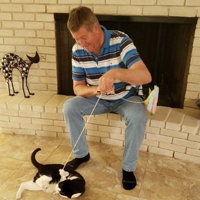 Companion Keepers In Home Cat Sitting Service - San Antonio, TX
