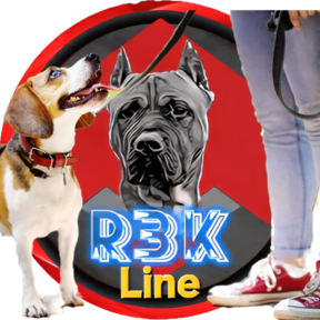 RBK Line In Home Private Dog Training - Joliet, IL