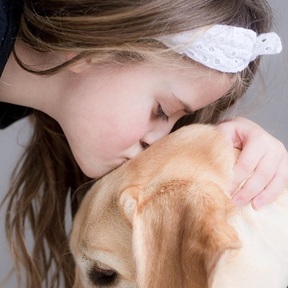 Puppy Manners - Dog and Puppy Training - Woodinville, WA