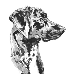 Madeline Bruce - Animal Portrait Artist - Birmingham, AL