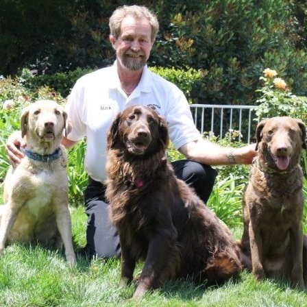 AngelDogs Training - Certified Dog Trainer - Santa Clarita, CA