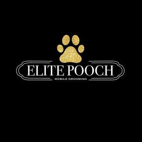 Treasure Valley's Luxury Mobile Grooming - Caldwell, ID