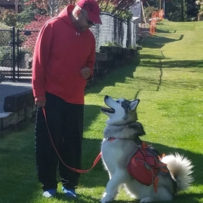 Sura Dog Training - Remote or In Person Dog Trainer - Seabeck, WA