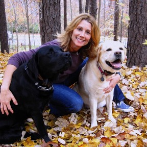 Private Dog Behavioral Training - In Home K9 Trainers - Raleigh, NC