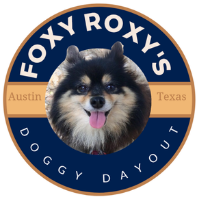 FOXY ROXY'S - Pet Boarding - Austin, TX