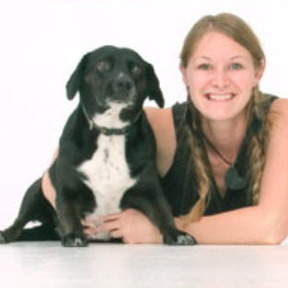 Certified Dog Trainer - Private Training  - Culver City, CA