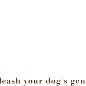 Dog Savvy - Professional Puppy and Dog Trainer - Los Angeles, CA