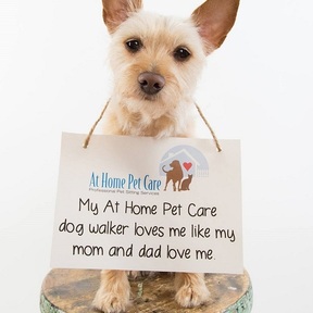 At Home Pet Care, LLC - Pet Sitters - St Paul, MN