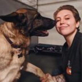 MZ Pet Services - Pet Sitting, Training, and Photography - San Diego, CA