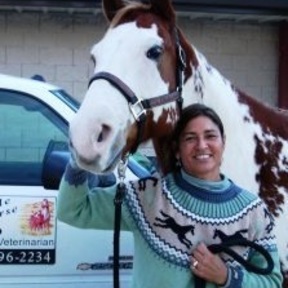 The Whole Horse DVM - Animal Chiropractic Care - Garwood, TX