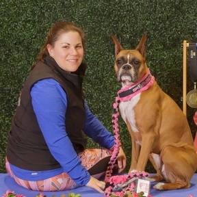 Active Paws Inc. - Dog Walking, Canine Training, Dog SItting - Belmont, MA