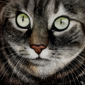On Dragon Wings Studio | Pet Portrait Artist - Caledon, ON