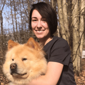 Essentially Scents and Pets LLC - Animal Homeopathy - Saratoga Springs, NY - Saratoga Springs, NY