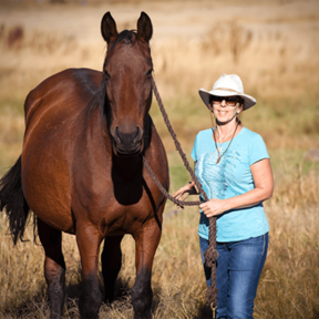 Animal Reiki Master  - Redmond, OR