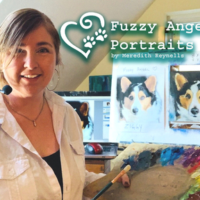Fuzzy Angel Pet Portraits - York, ME - York, ME