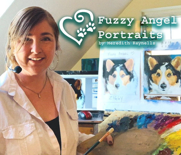 Fuzzy Angel Pet Portraits - York, ME