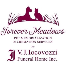 Mobile Vet and In Home Pet Euthanasia  - Frankfort, NY