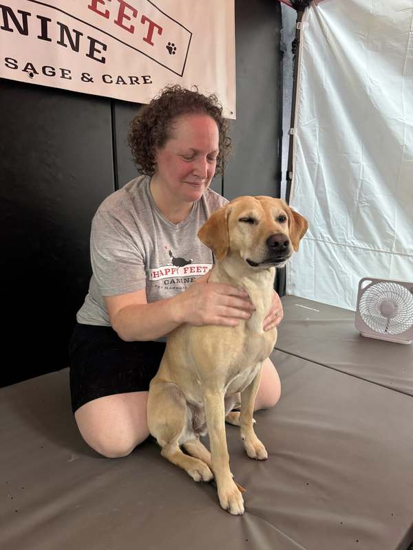 Pixel peoria may 2025