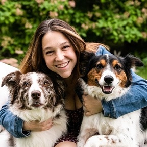 K Schulz Photography LLC - Professional Pet Photographer - Minneapolis, MN