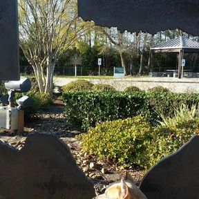Richards Pet Rides and Animal Transport - Brooksville, FL