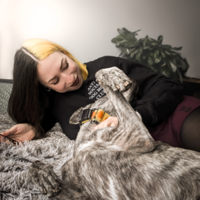 Feral & Fab Pet Photography  - Emeryville, CA