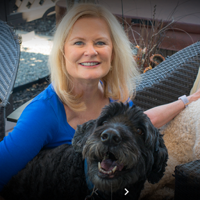 Pam's In Home Pet Sitting Service and Dog Walking - Vallejo, CA
