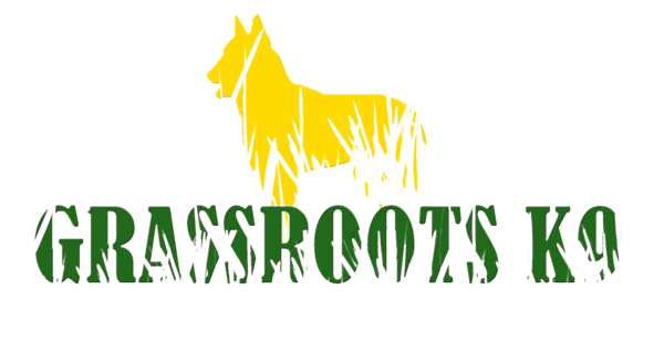 Final no white logo 2