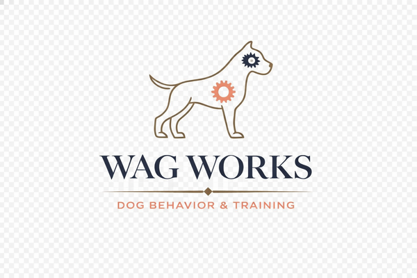 Aef9c082 401c 49a5 9044 989c57d6678d