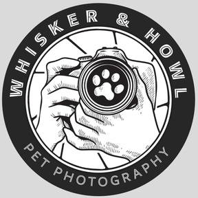 Whisker & Howl – Professional Pet Photographer - Sacramento, CA