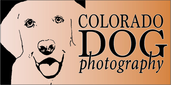 2017 logo final version v2 watermark jpg