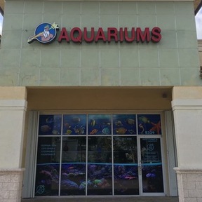 Neptunes Aquariums - Aquarium Maintenance and Cleaning  - Hialeah, FL