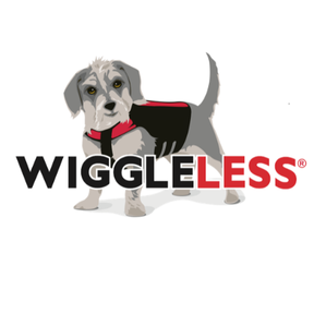 Wiggleless Back Brace - Dog Physical Therapy - Oxnard, CA