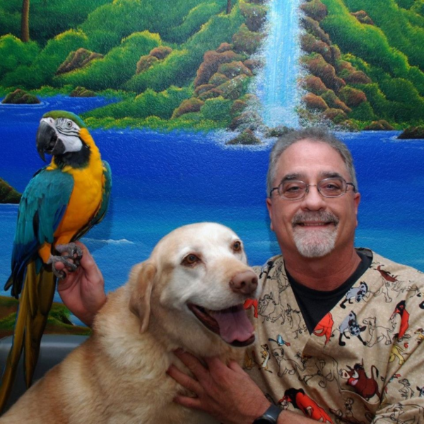 Animal Medical Center of Corona - Veterinary Care & Wellness - Corona, CA