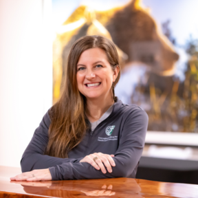 Dog and Cat - Diet and Nutrition Consultant - Osteen, FL