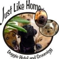Just Like Home Doggie Hotel and Dog Grooming - Las Vegas, NV